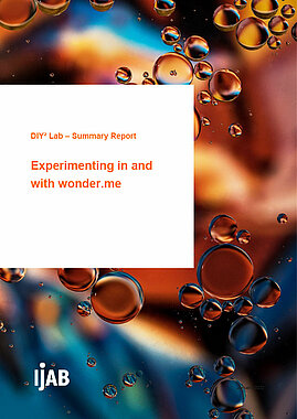 DIY² Lab – Summary Report